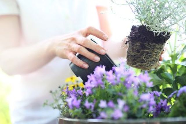 10 idées récup’ pour votre jardin