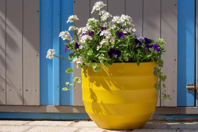 À la découverte des pots en terre cuite personnalisables