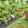 Aménagement de jardin
