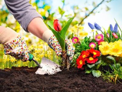 Aménager et fleurir un talus