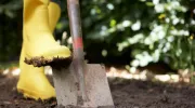 Analyser la terre d’un jardin