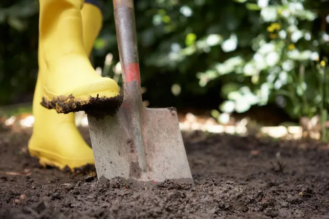 Analyser la terre d’un jardin