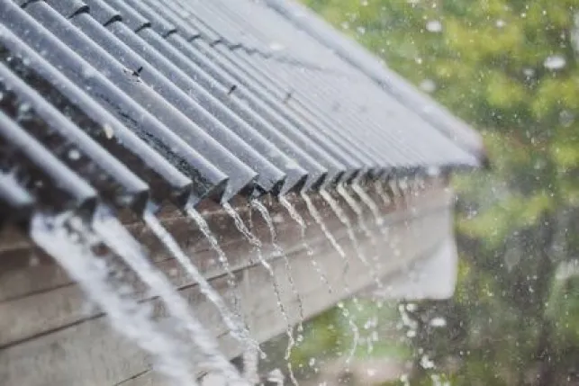 Bruit de pluie sur une véranda