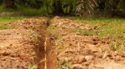 Combien coûte le drainage d’un terrain&nbsp;?