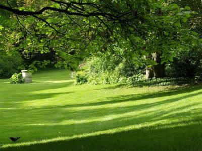 Comment aménager un jardin en pente ?