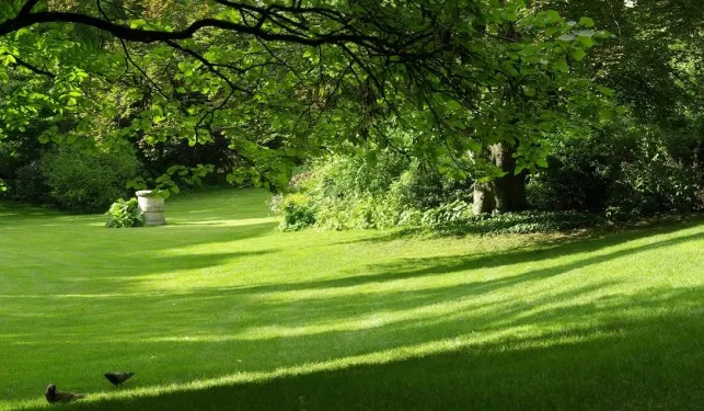 Comment aménager un jardin en pente ?