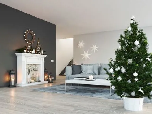 Comment bien conserver son sapin de noël ?