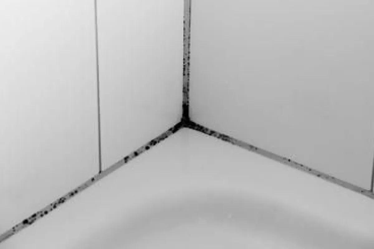 Comment blanchir les joints de salle de bain ?