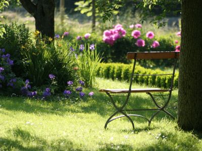 Comment créer un jardin à l’anglaise chez-soi ?