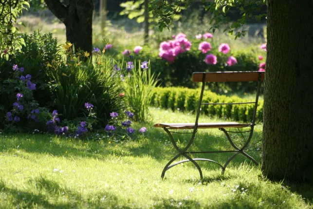 Comment créer un jardin à l’anglaise chez-soi ?