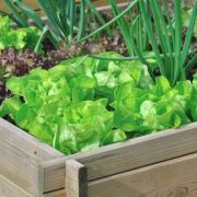 Comment créer un micro-jardin&nbsp;?