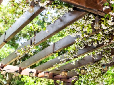 Comment décorer une pergola ?