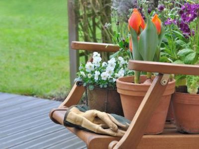 Comment hiverner vos plantes et fleurs en pot ?