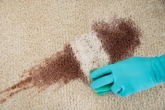 Comment nettoyer un tapis en 4 étapes ?