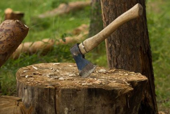 Comment se débarrasser d’une souche d’arbre ? Comment se débarrasser d’une souche d’arbre ?