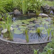 Construction d’un bassin de jardin