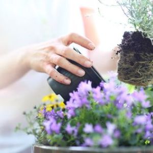Créer et aménager son jardin en 5 étapes 