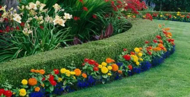 Créer un jardin à la française