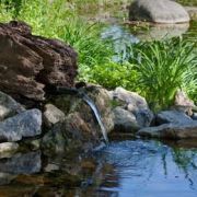 Créer un jardin de rocaille