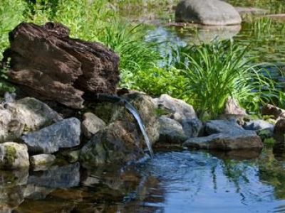 Créer un jardin de rocaille