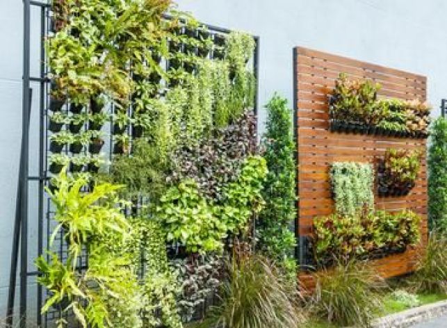 Créer un jardin vertical