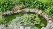Créer un mini bassin de jardin
