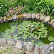 Créer un mini bassin de jardin