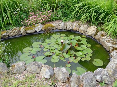 Créer un mini bassin de jardin