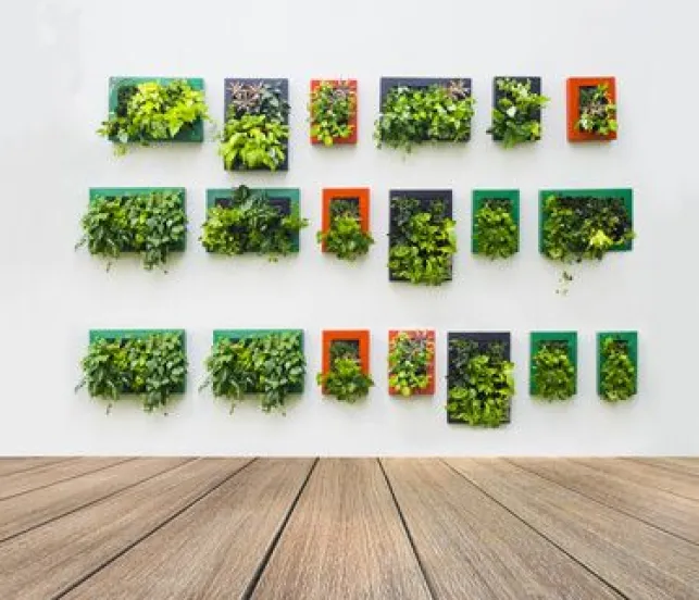 Créer un mur végétal en intérieur
