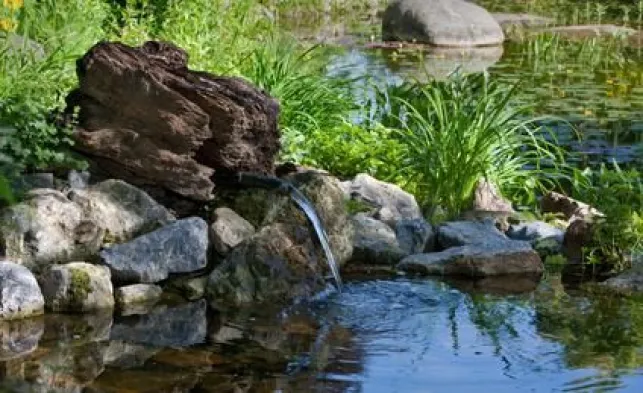 Créer un ruisseau de jardin