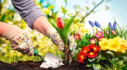 Créer une scène fleurie dans son jardin