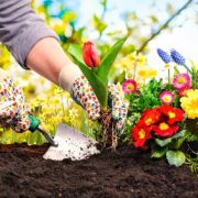 Créer une scène fleurie dans son jardin