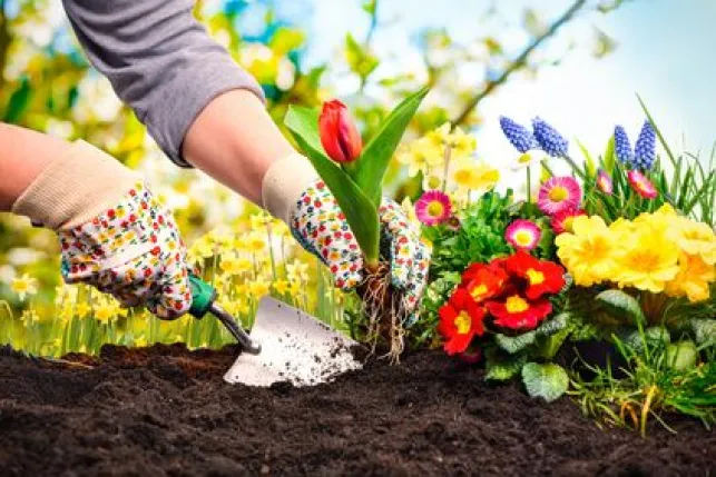 Créer une scène fleurie dans son jardin