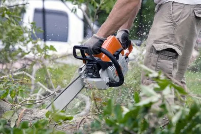 Débroussailler un jardin