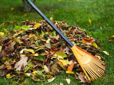 Défricher un jardin à l’abandon