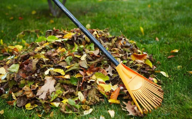 Défricher un jardin à l’abandon