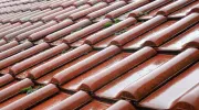 Démoussage toiture : comment enlever les mousses et lichens sur un toit&nbsp;?