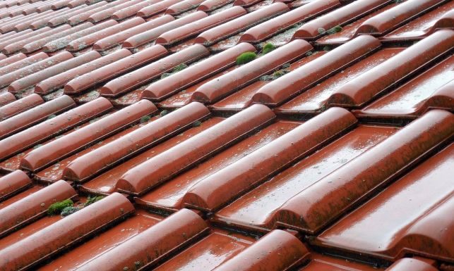 Démoussage toiture : comment enlever les mousses et lichens sur un toit ?