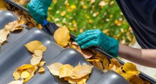 Des feuilles peuvent rapidement s'accumuler dans une gouttière et la boucher