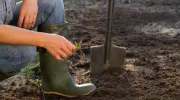 Déterminer la nature du sol d’un jardin