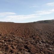 Déterminer la nature du sol : une étape importante avant l’achat d’un terrain