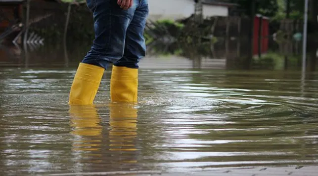 Drainer un terrain inondé