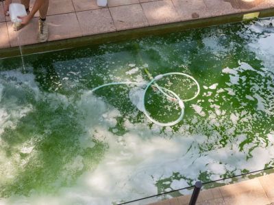 Eau de piscine verte : que faire ?