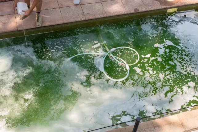 Eau de piscine verte : que faire ?