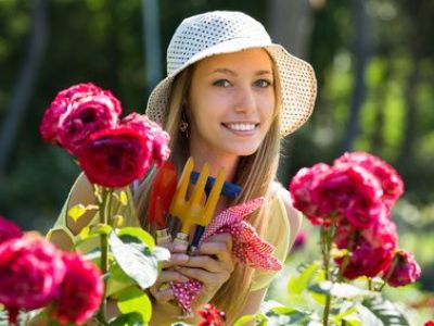 Entretenir un jardin en été