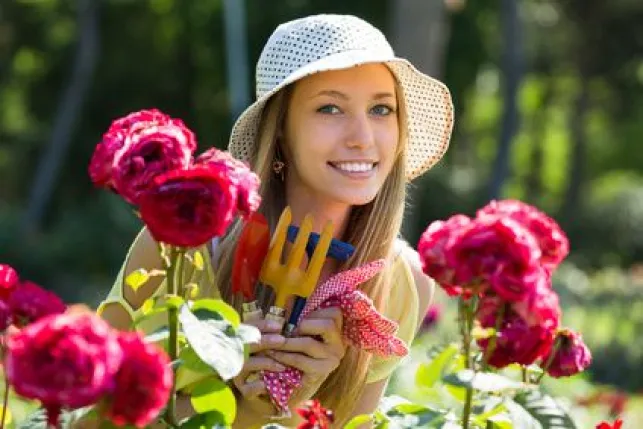 Entretenir un jardin en été