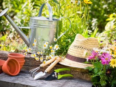 Entretien d’un jardin au printemps