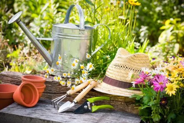 Entretien d’un jardin au printemps