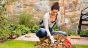 Entretien d’un jardin en automne