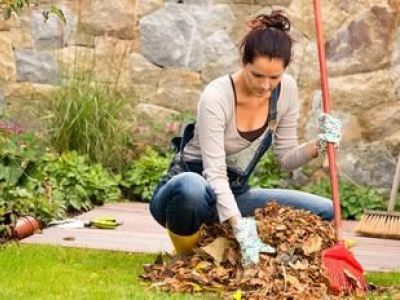 Entretien d’un jardin en automne